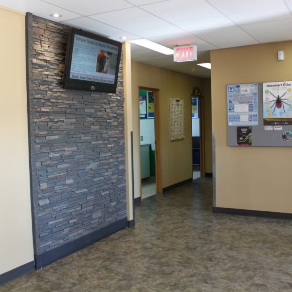 Our in-clinic TV features our services, current promotions and safety tips while you are waiting.