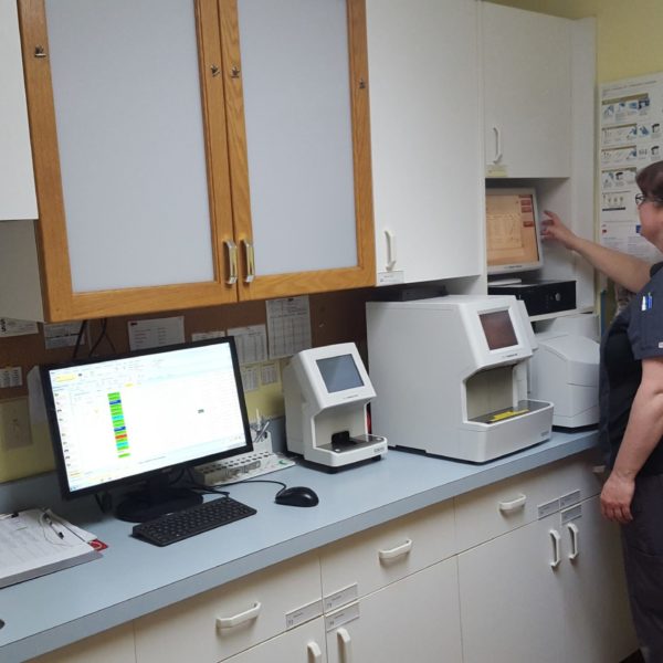 Our laboratory allows us to analyze blood, urine and fecal samples on site, delivering fast results during your appointment. In 2012, we upgraded all analyzers to the latest Idexx technology, providing reliable diagnostic testing.