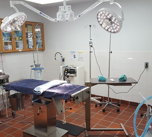 Our surgery room is equipped with anesthesia cart with emergency oxygen supply, surgical laser, LED surgery lights, air and water blanket patient warming units, vital signs monitor, IV pumps, defibrillator and surgery table with heated top.