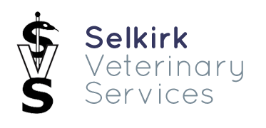 Veterinarians in Selkirk, MB | Selkirk Veterinary Services
