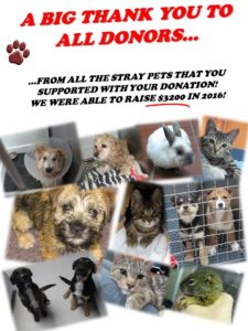 stray_pet_fund_result_donation_2015