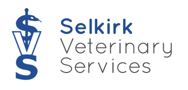 Selkirk Veterinary Services